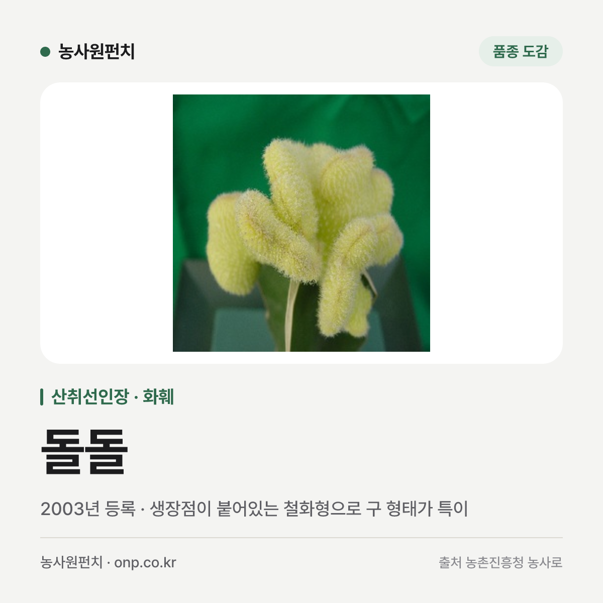돌돌