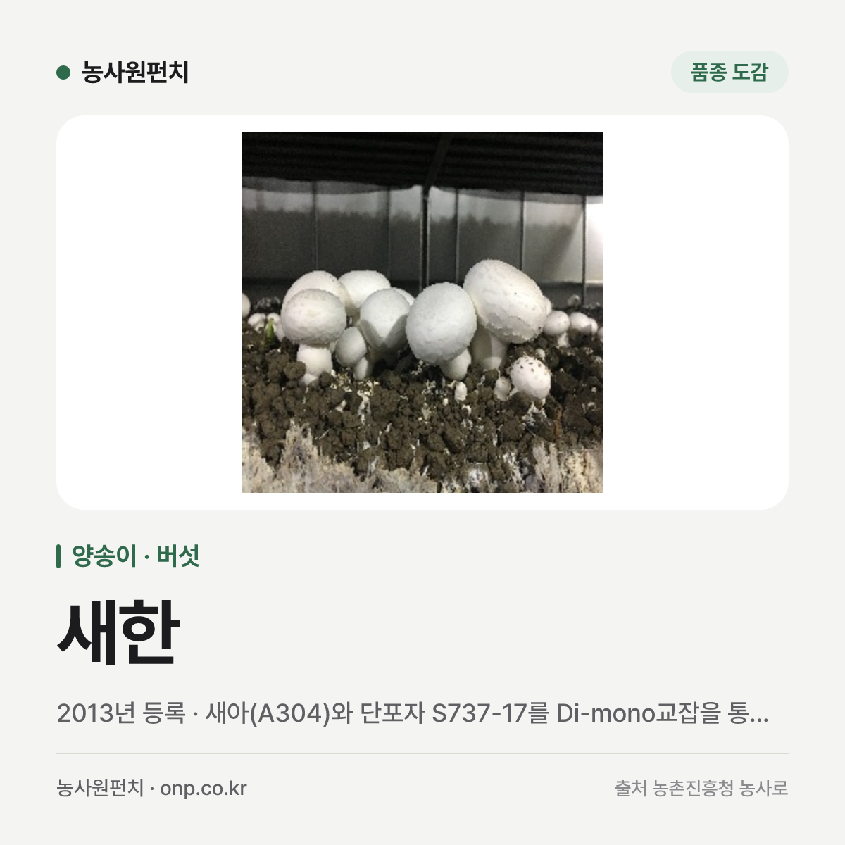 새한