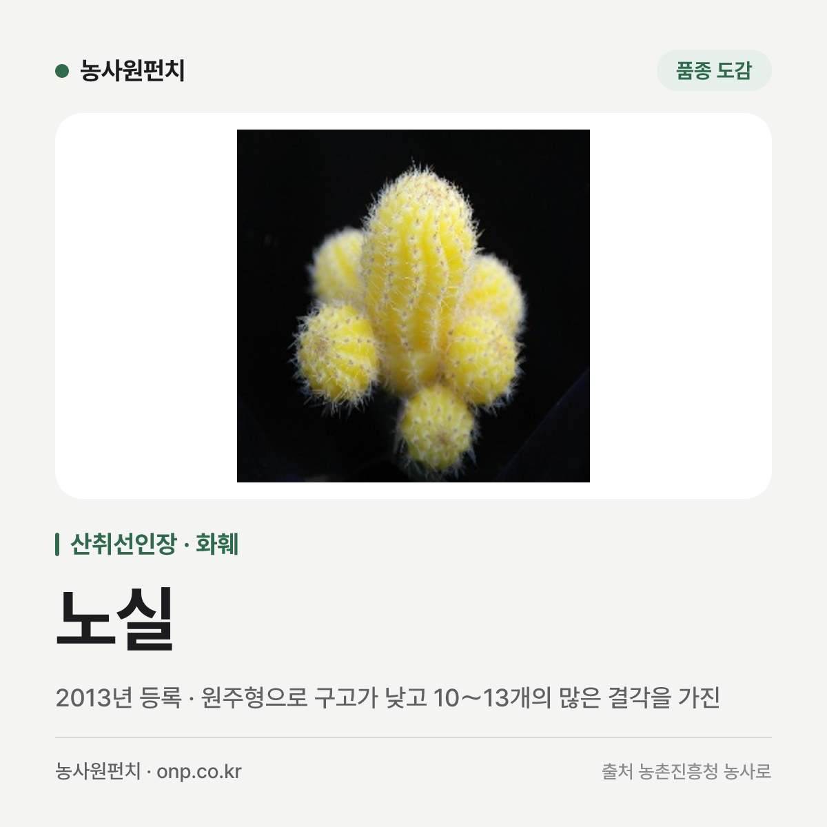 노실