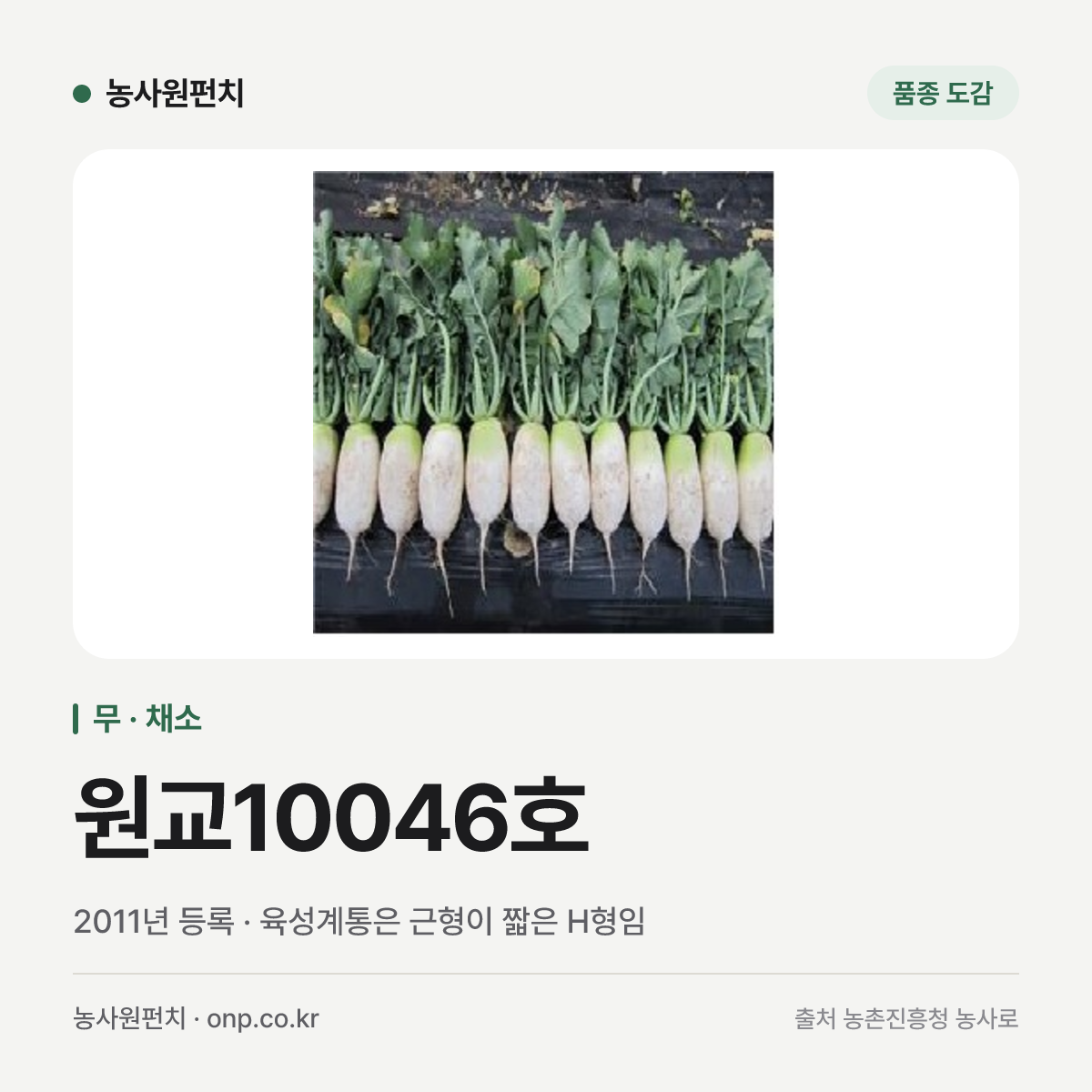 원교10046호