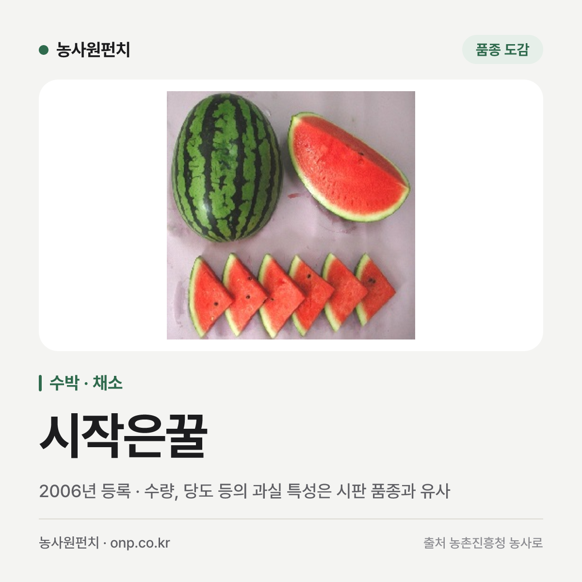 시작은꿀