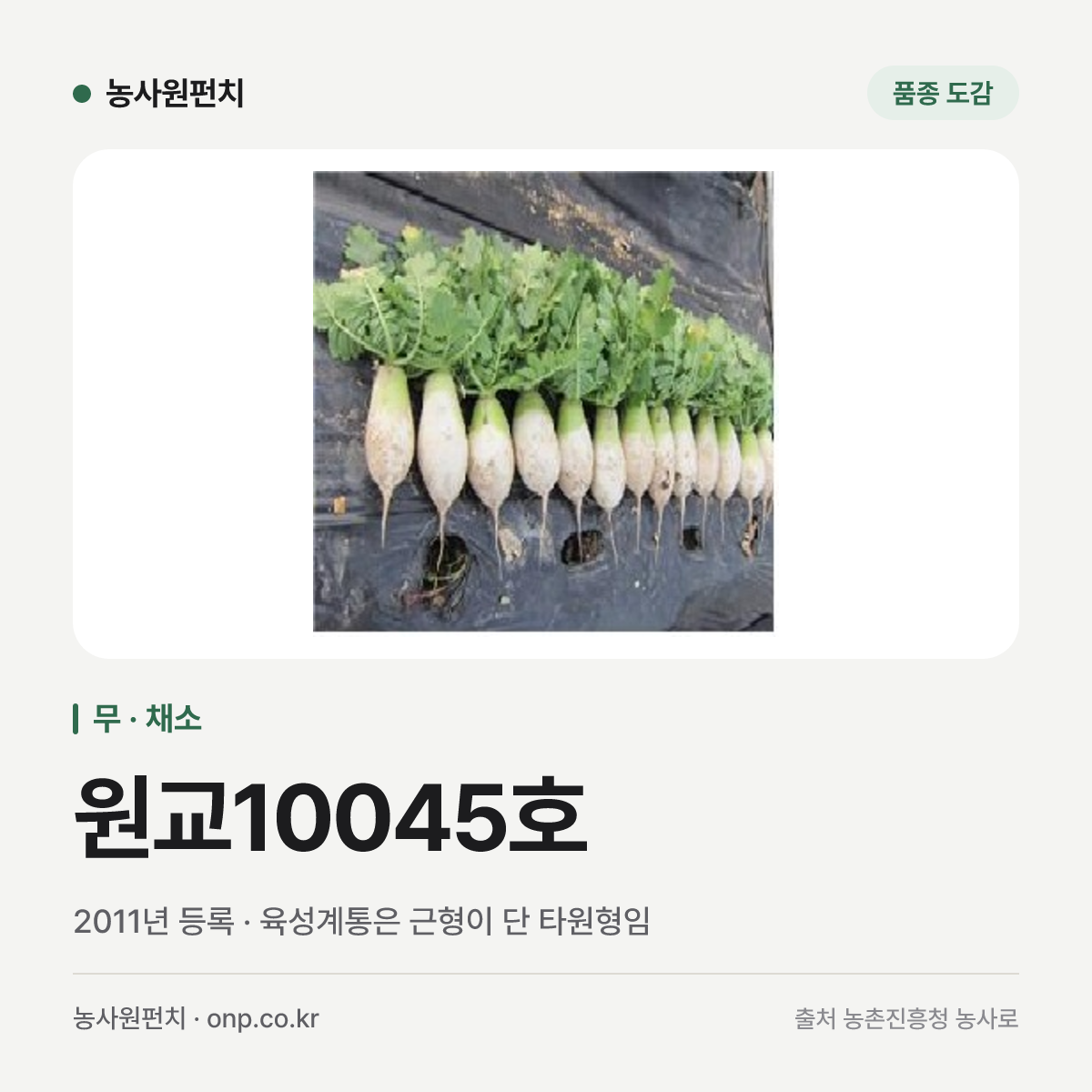원교10045호