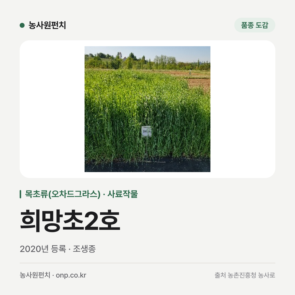 희망초2호