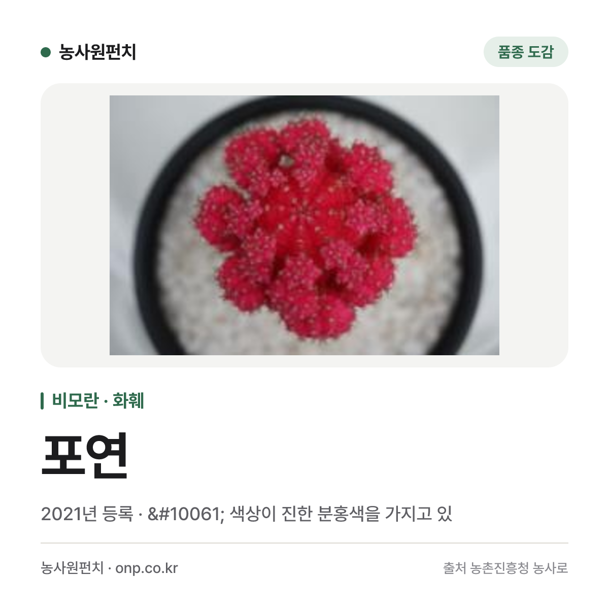 포연