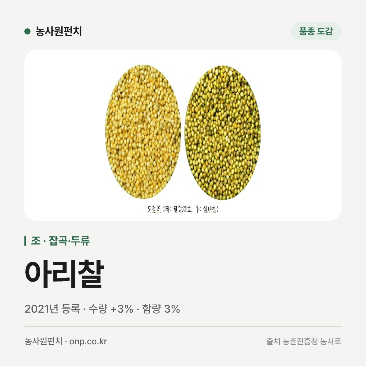 아리찰