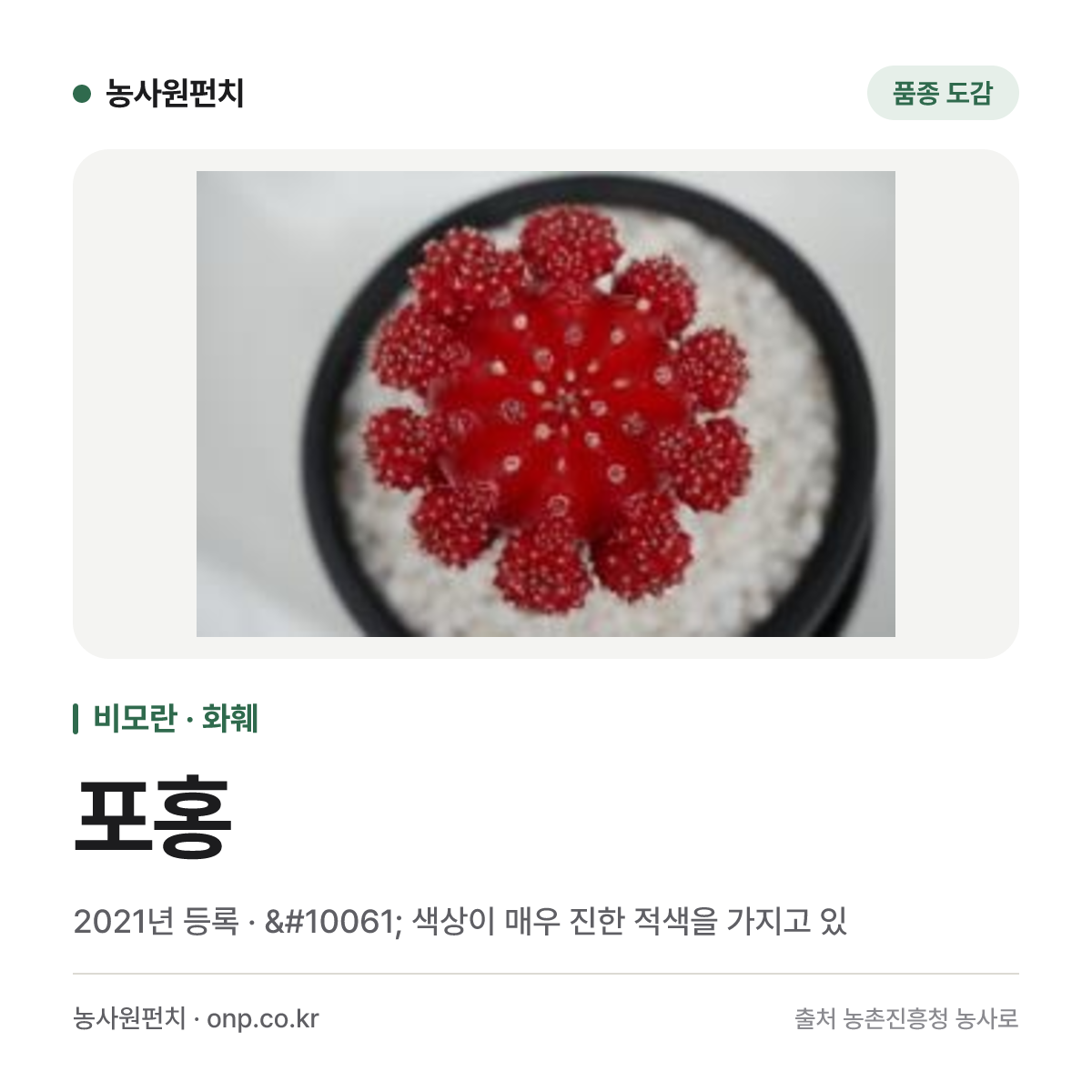 포홍