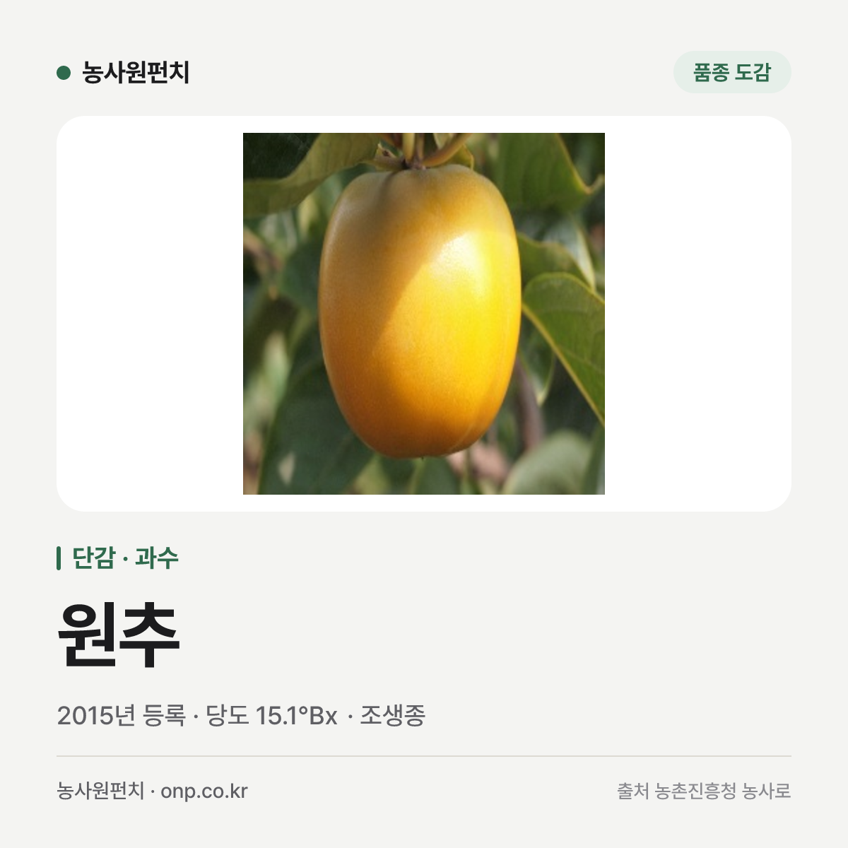 원추