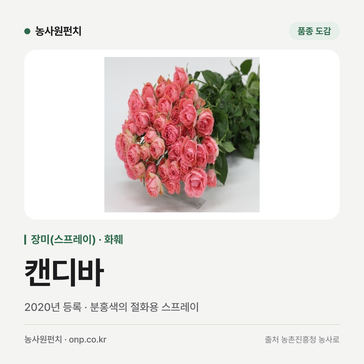 캔디바
