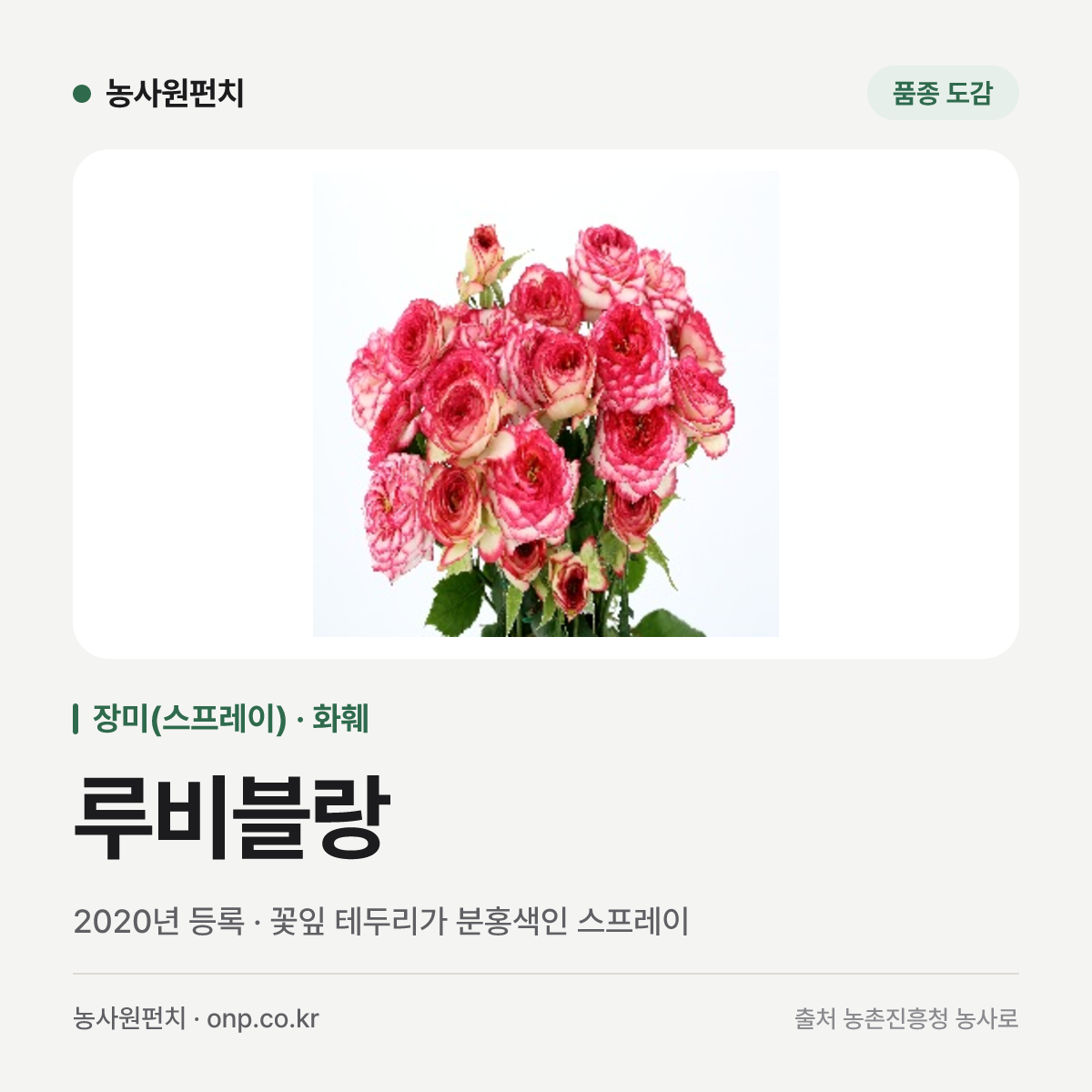 루비블랑