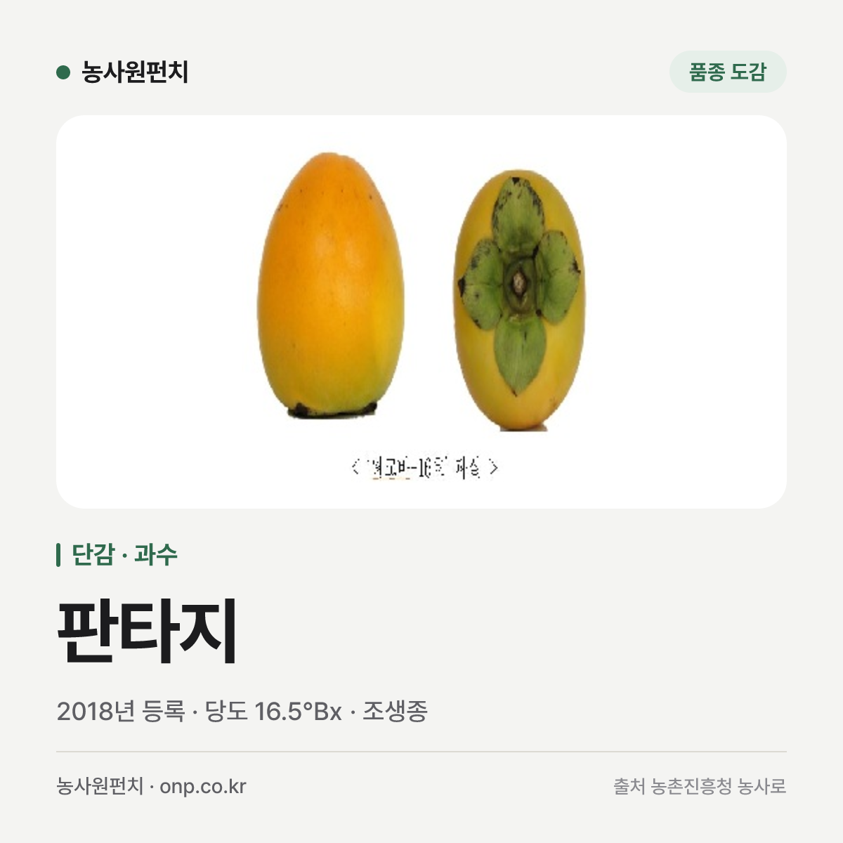 판타지