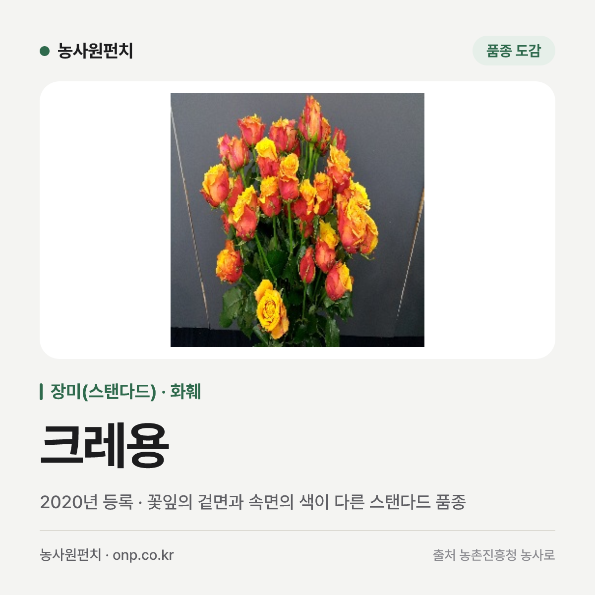 크레용
