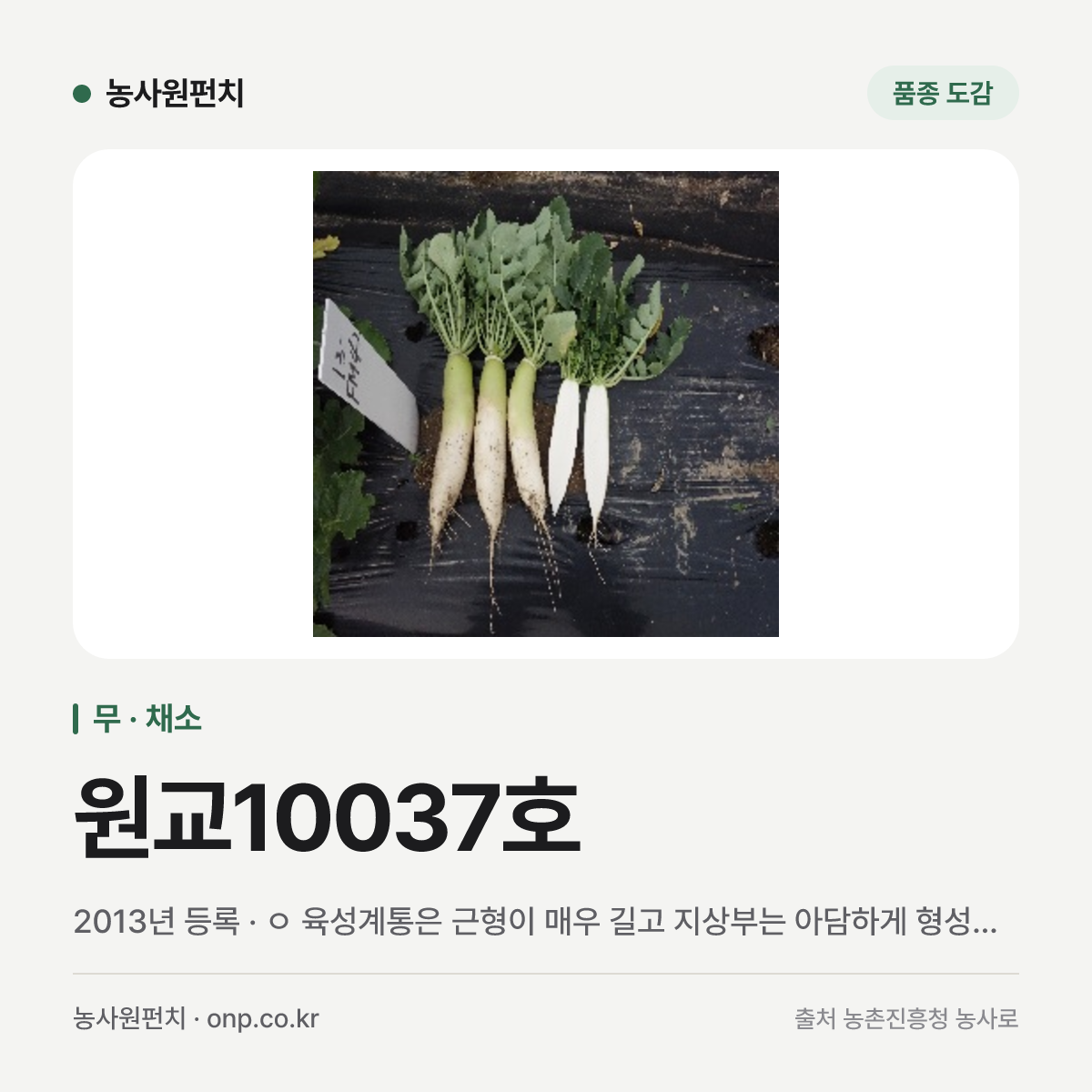 원교10037호