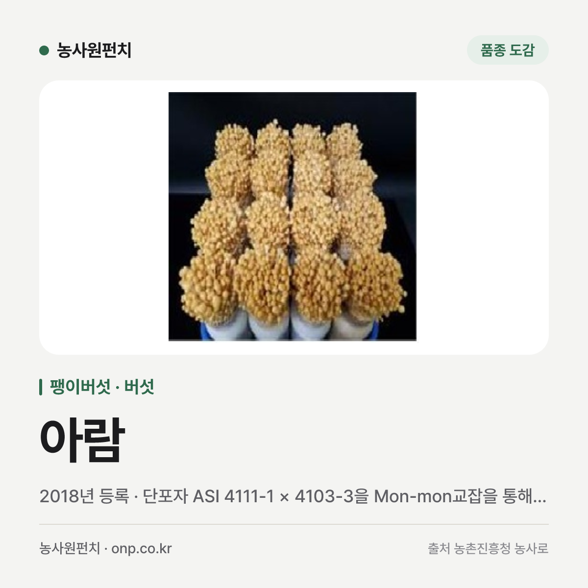 아람