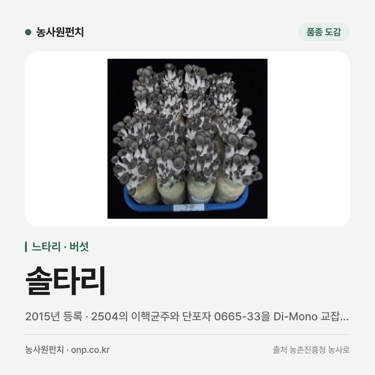 솔타리