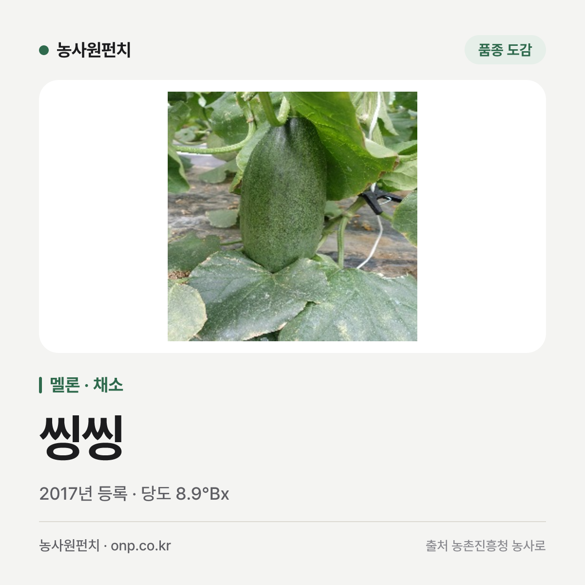 씽씽