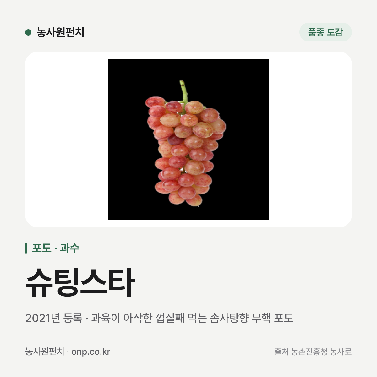 슈팅스타