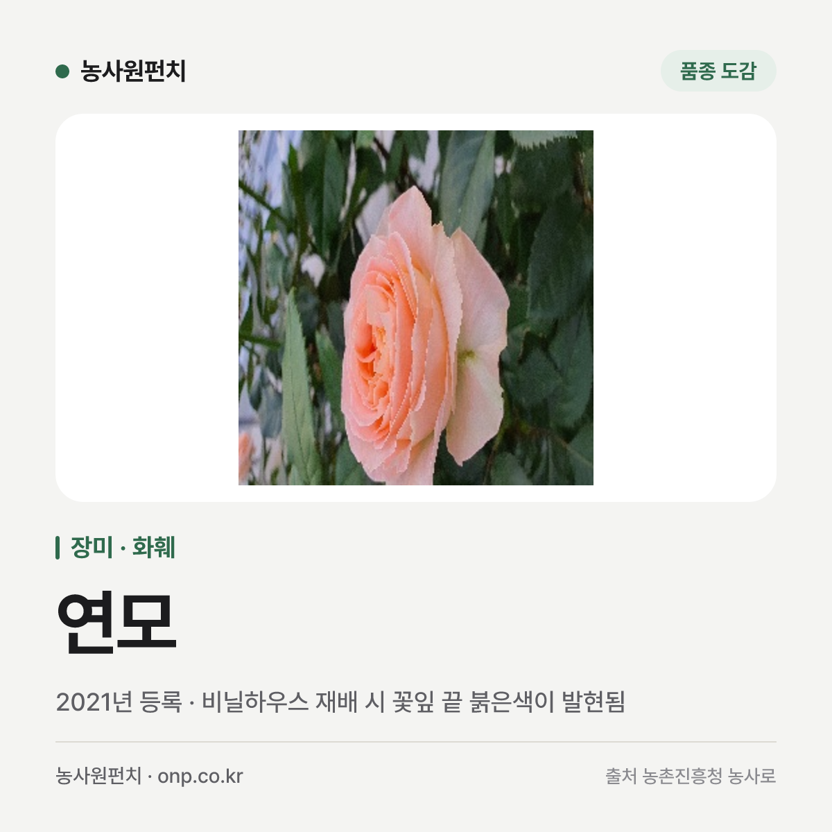 연모