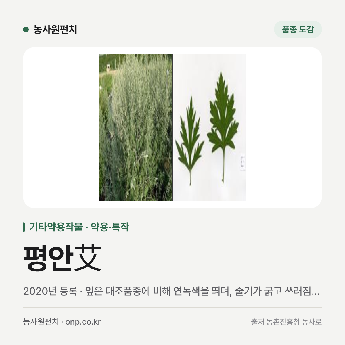 평안艾