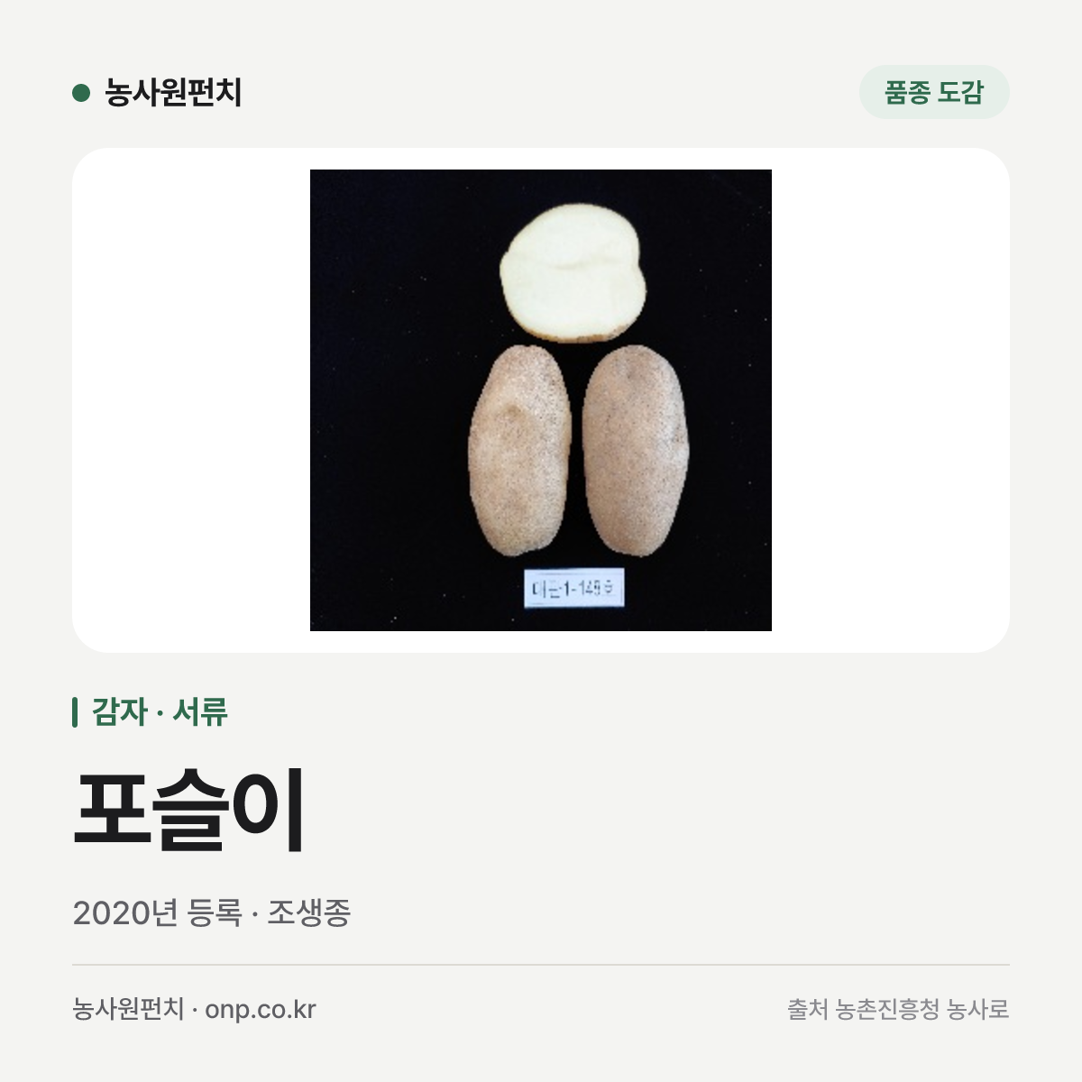 포슬이