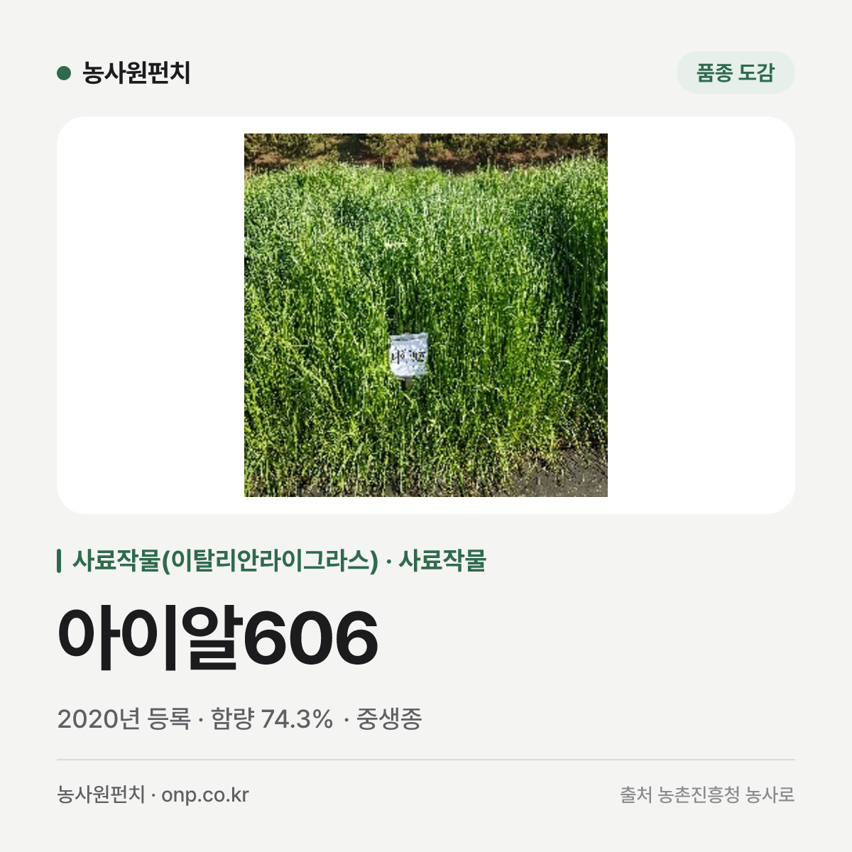 아이알606
