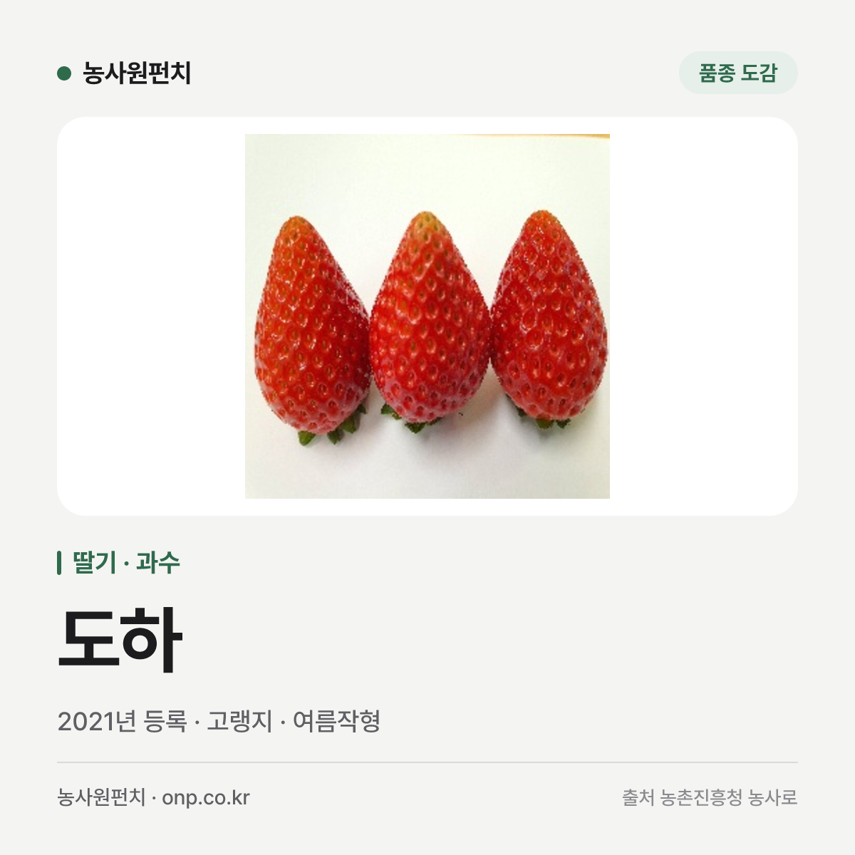 도하