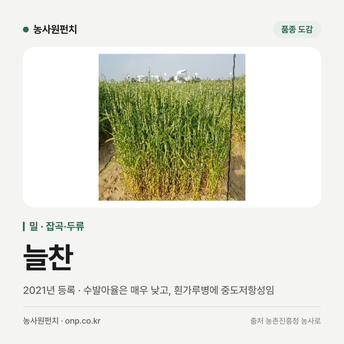 늘찬