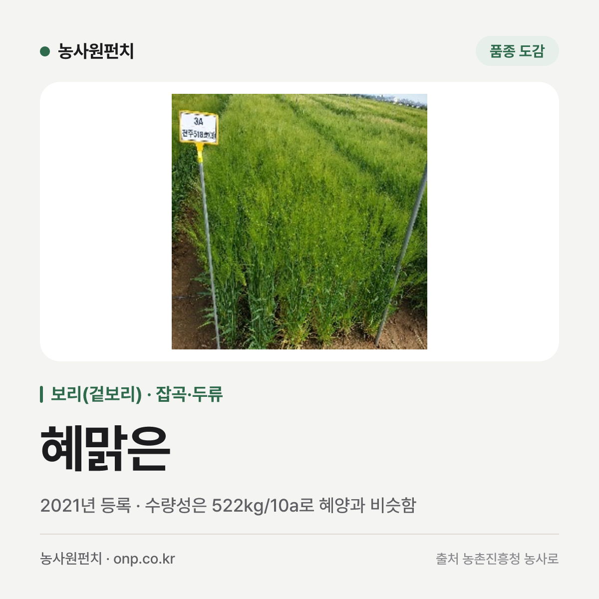 혜맑은
