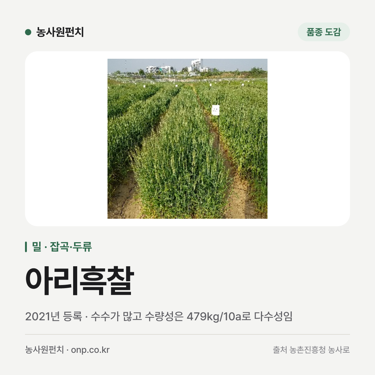 아리흑찰