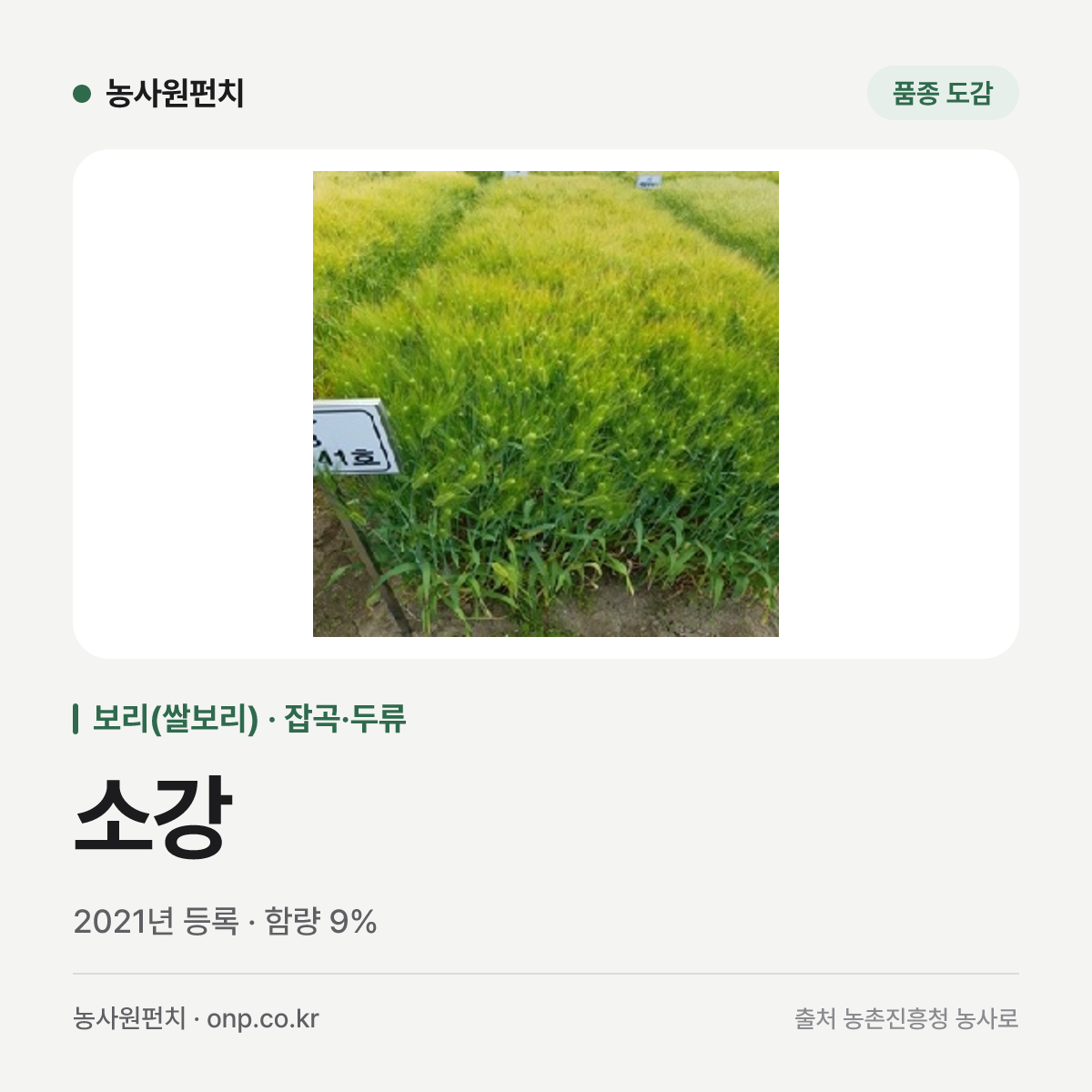 소강