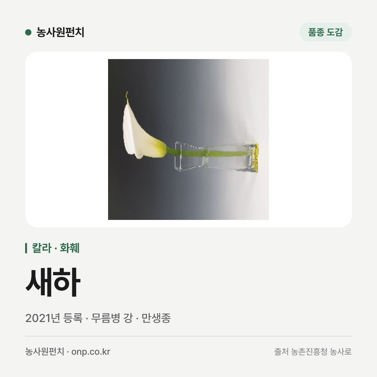 새하
