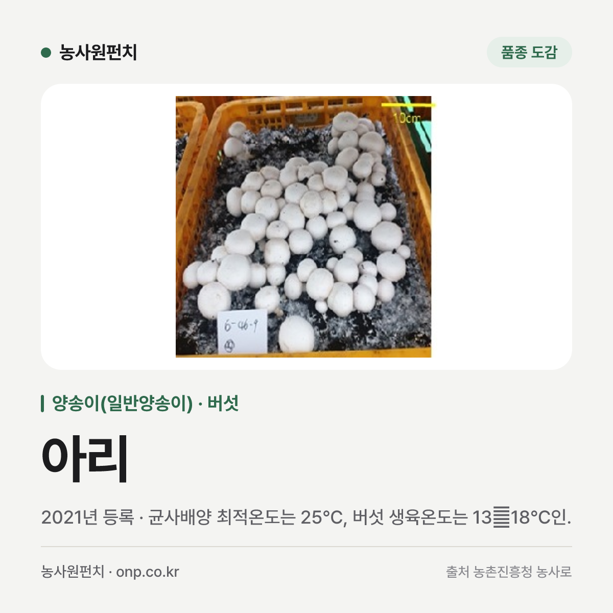 아리