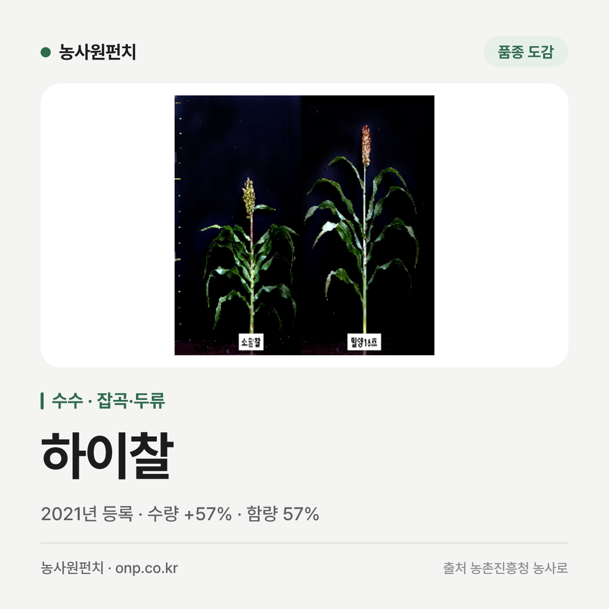 하이찰