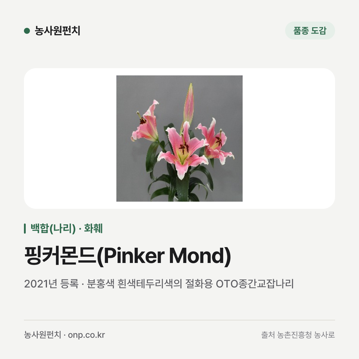 핑커몬드(Pinker Mond)