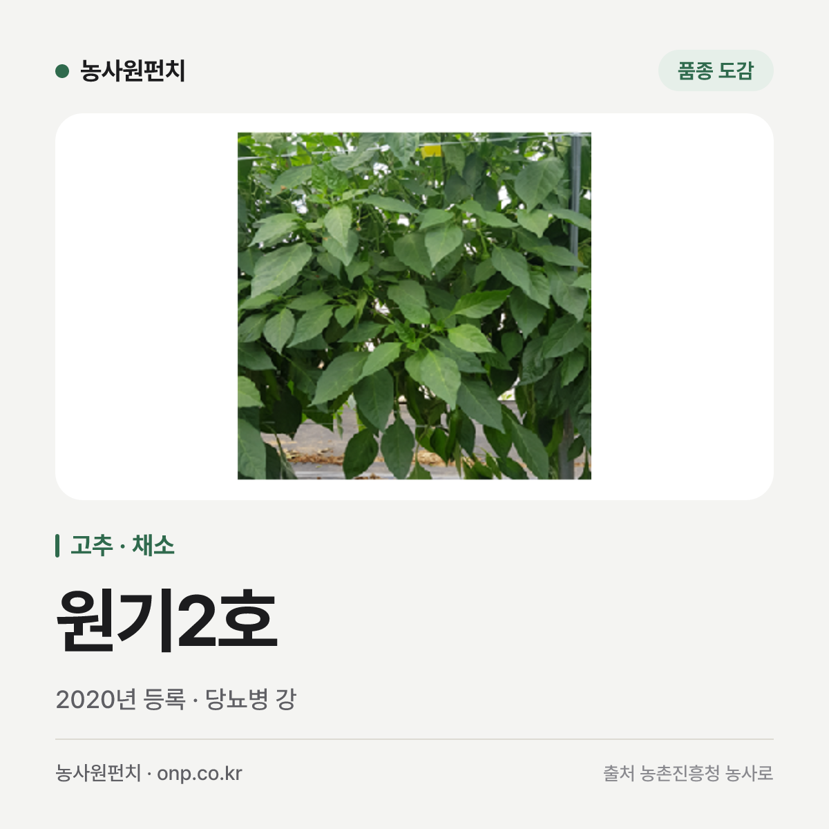 원기2호
