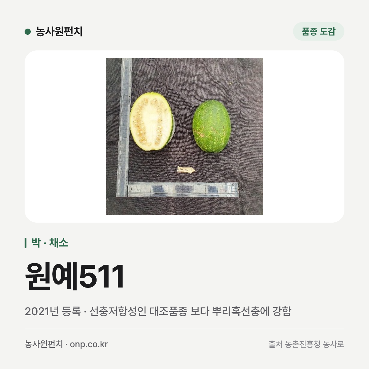 원예511