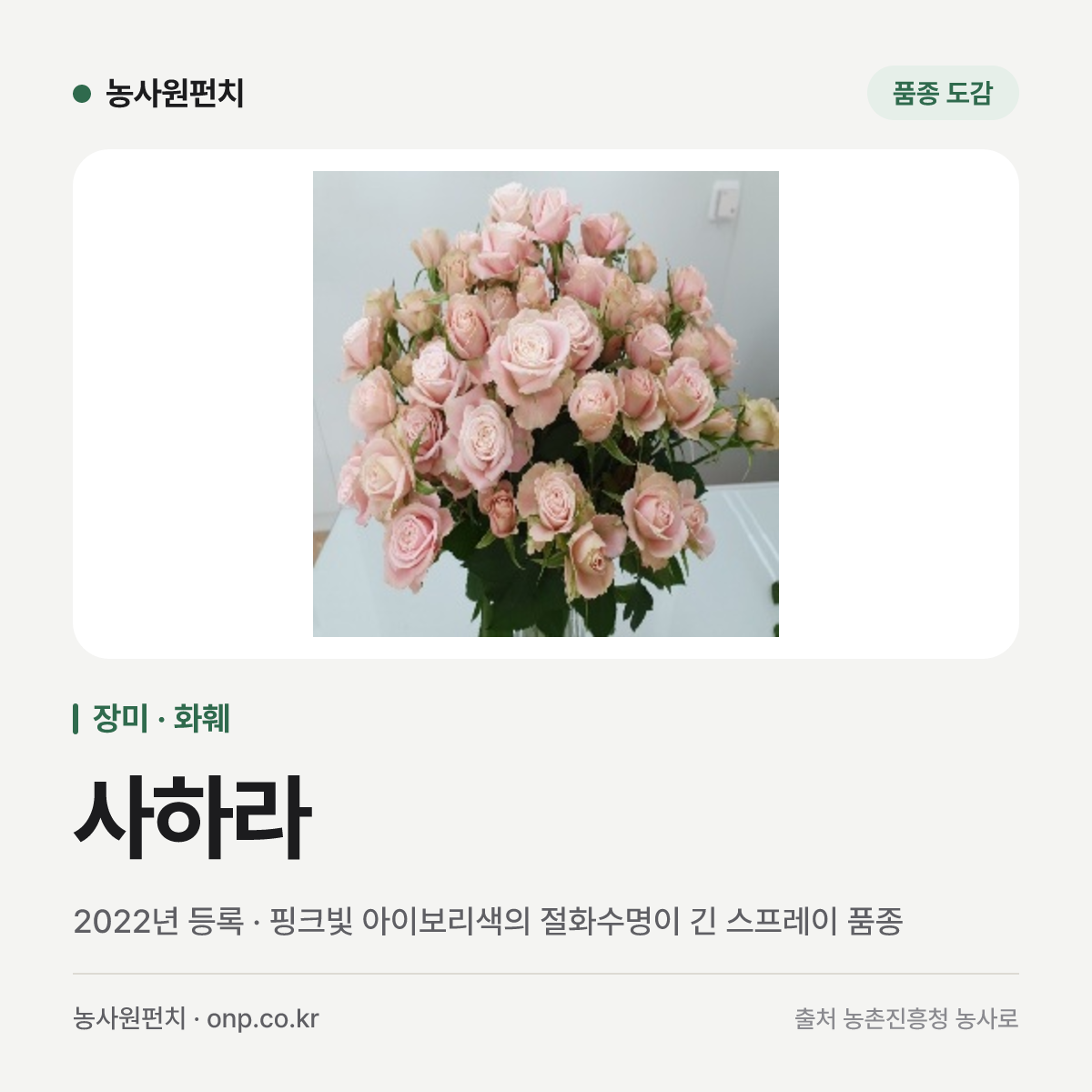 사하라