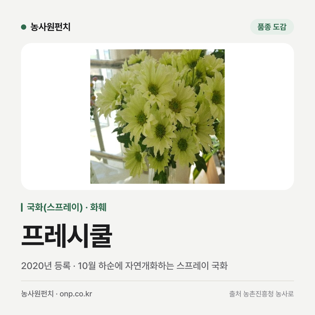 프레시쿨