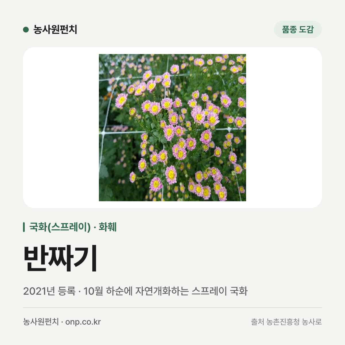반짜기