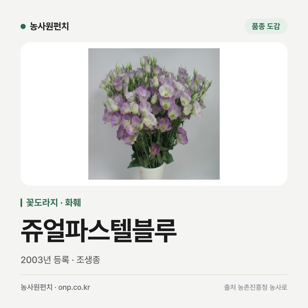 쥬얼파스텔블루