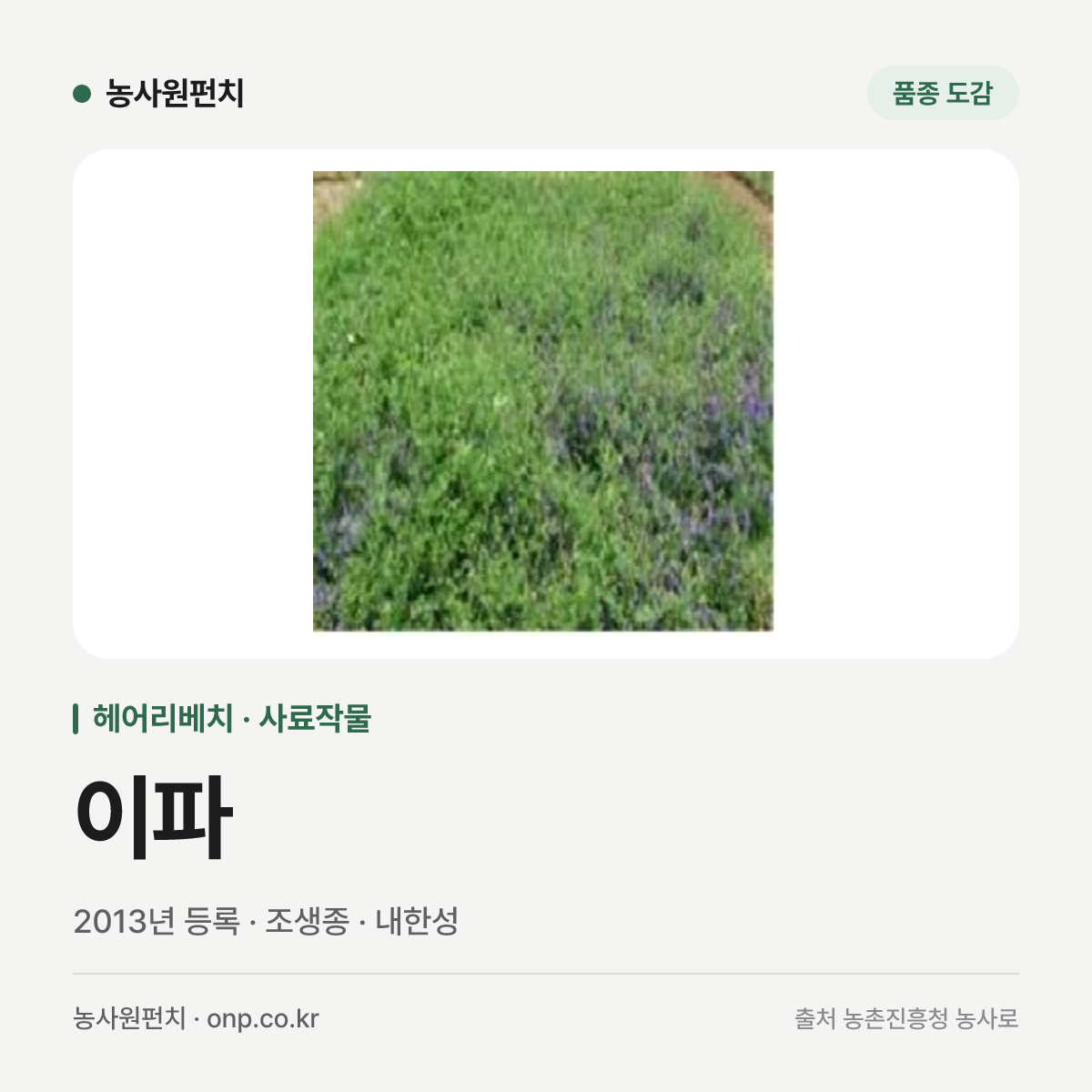 이파