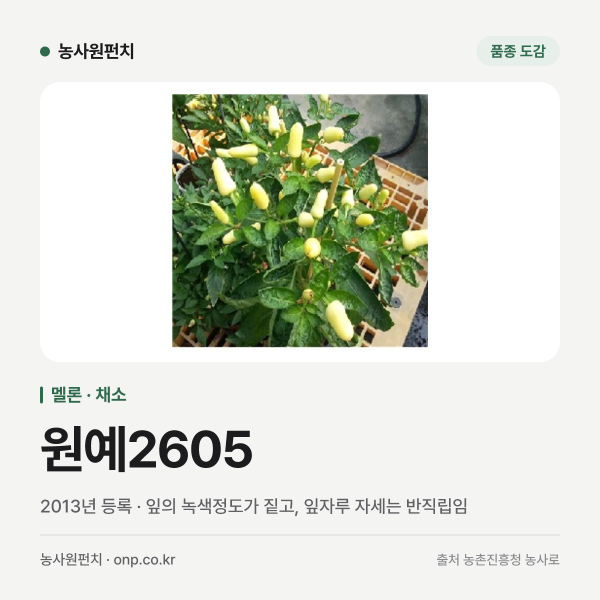원예2605