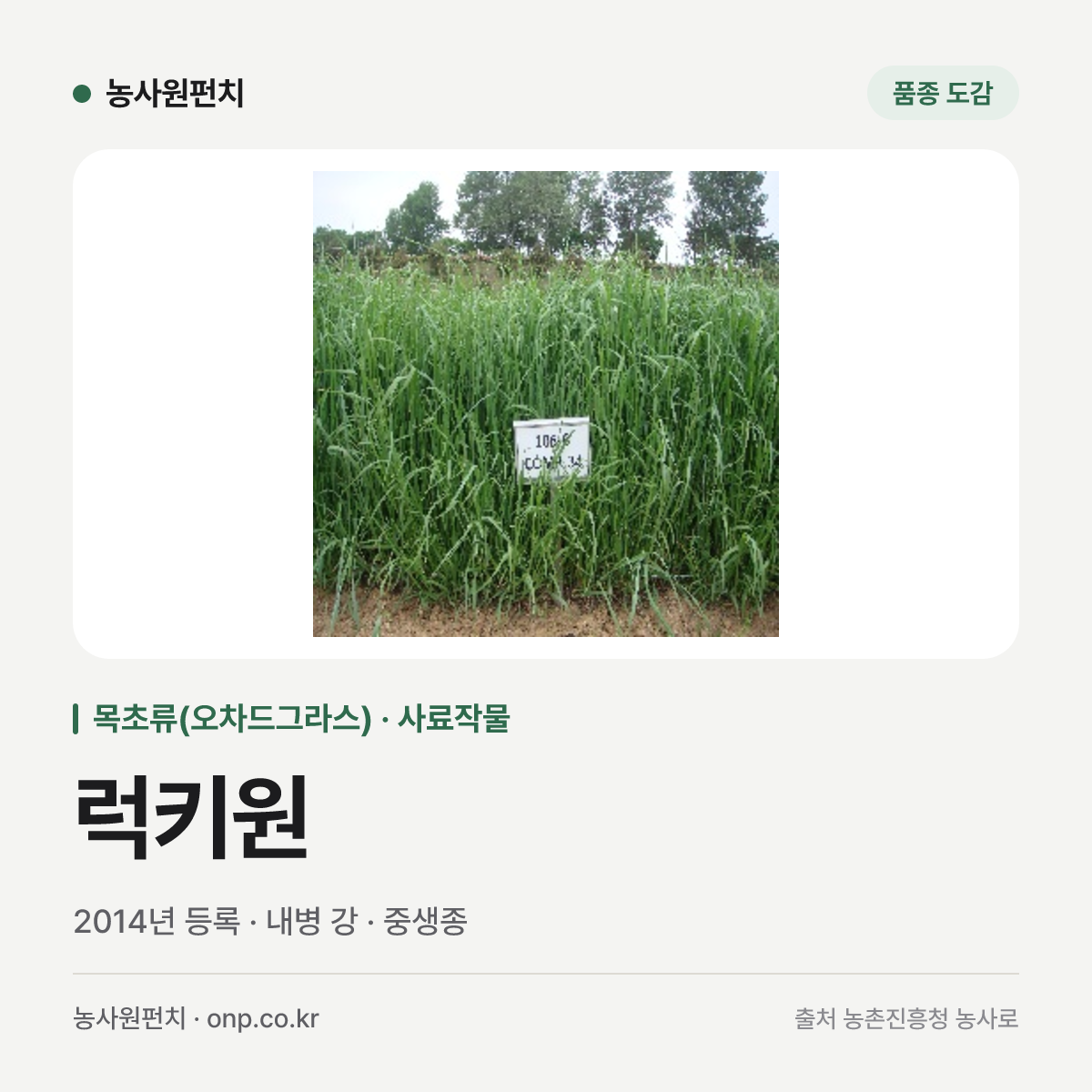 럭키원