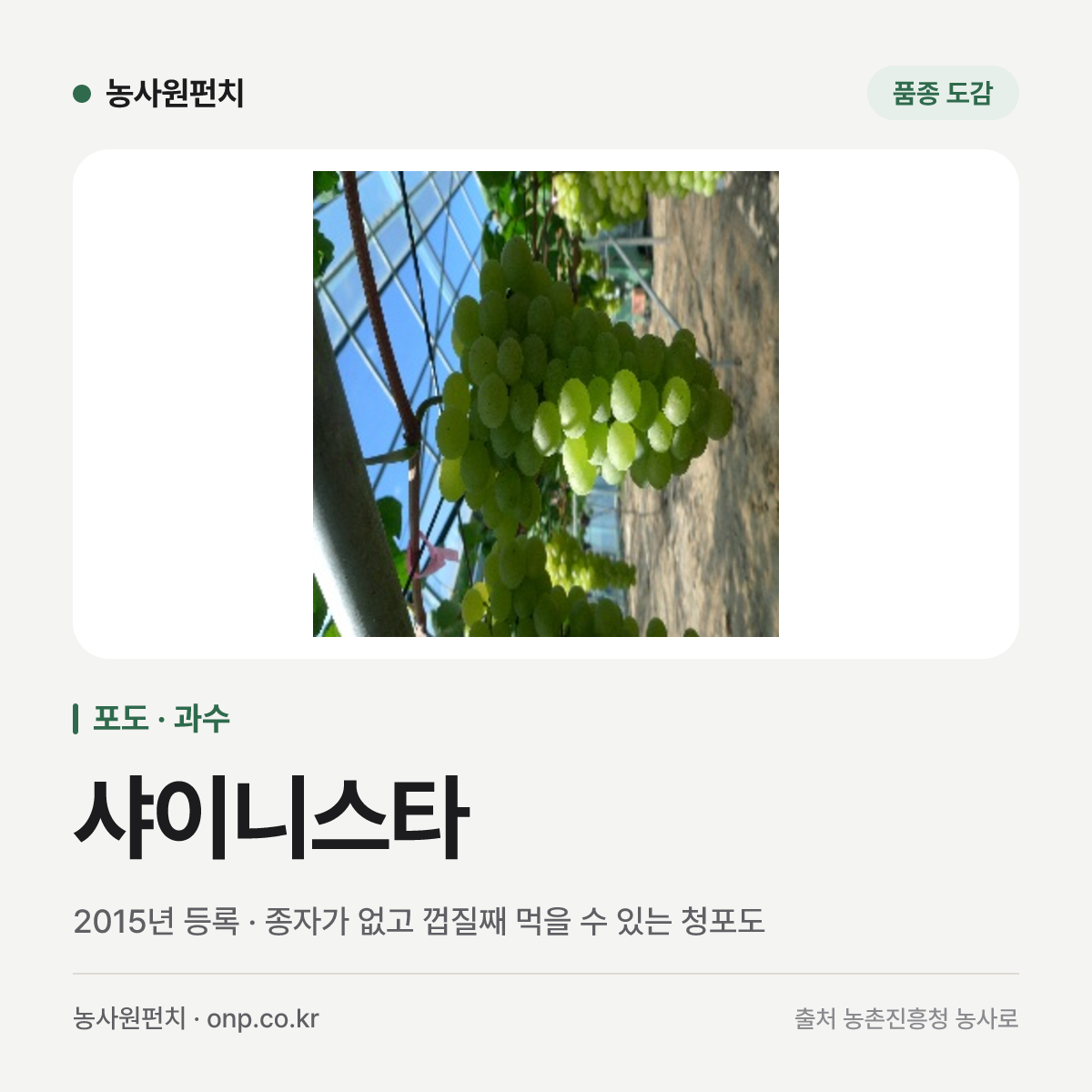 샤이니스타