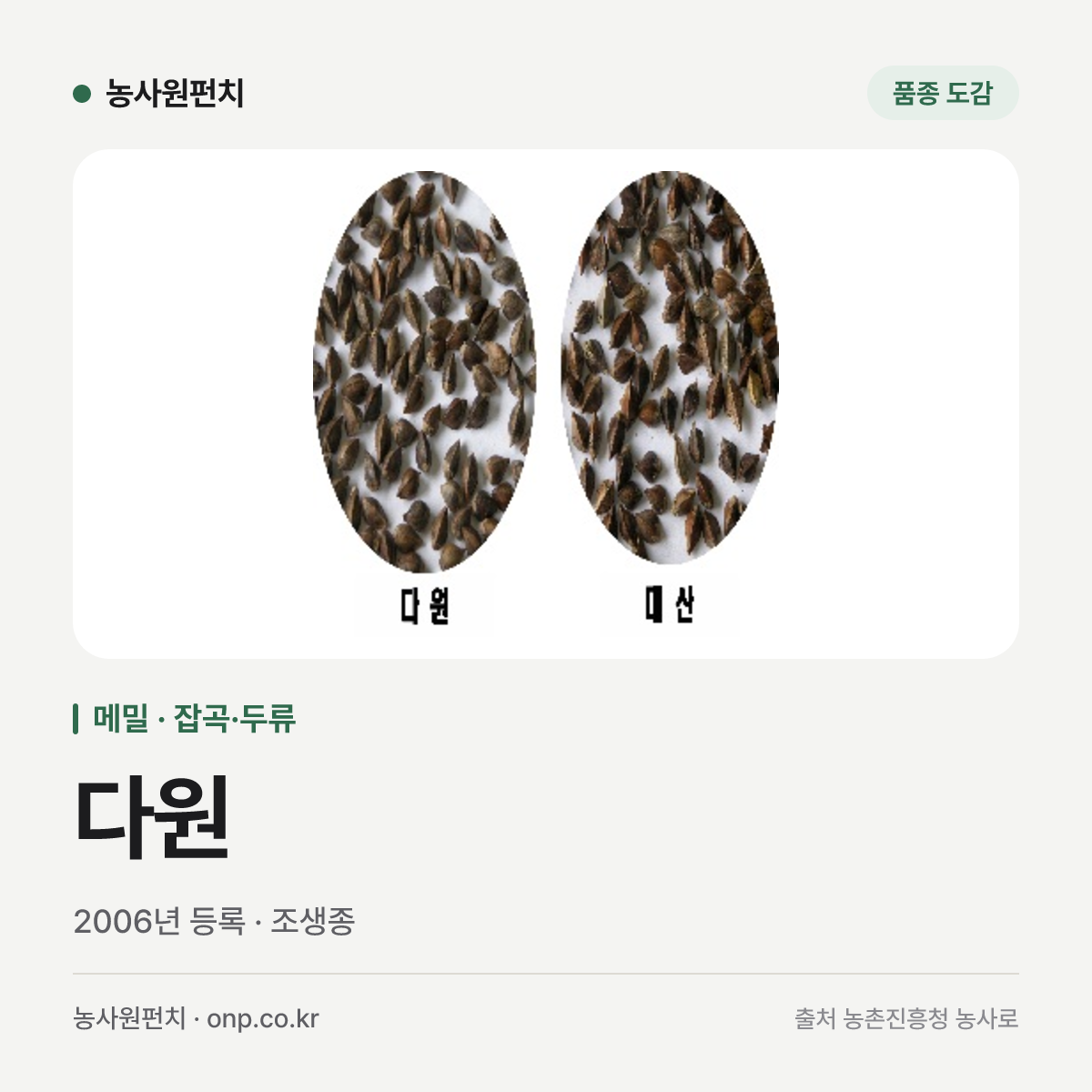 다원