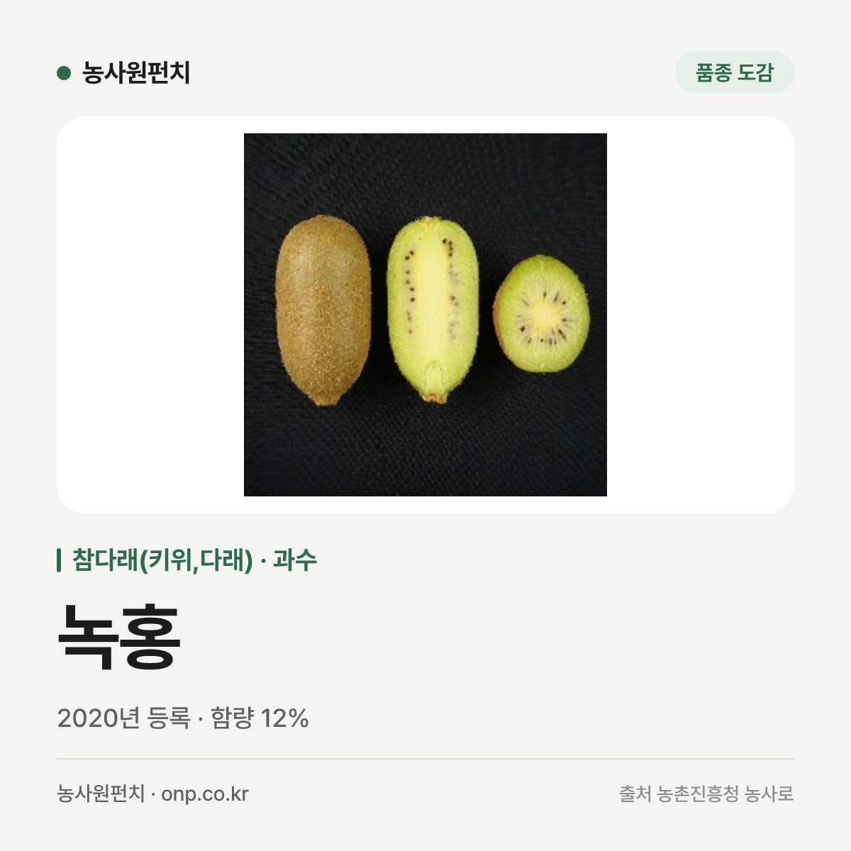 녹홍