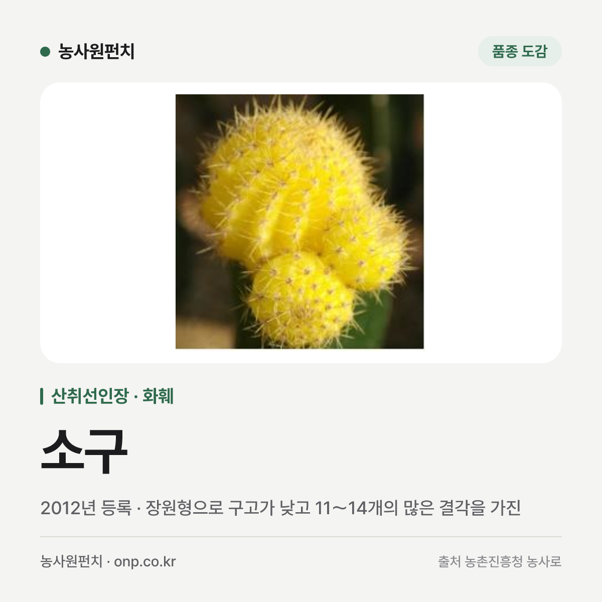 소구