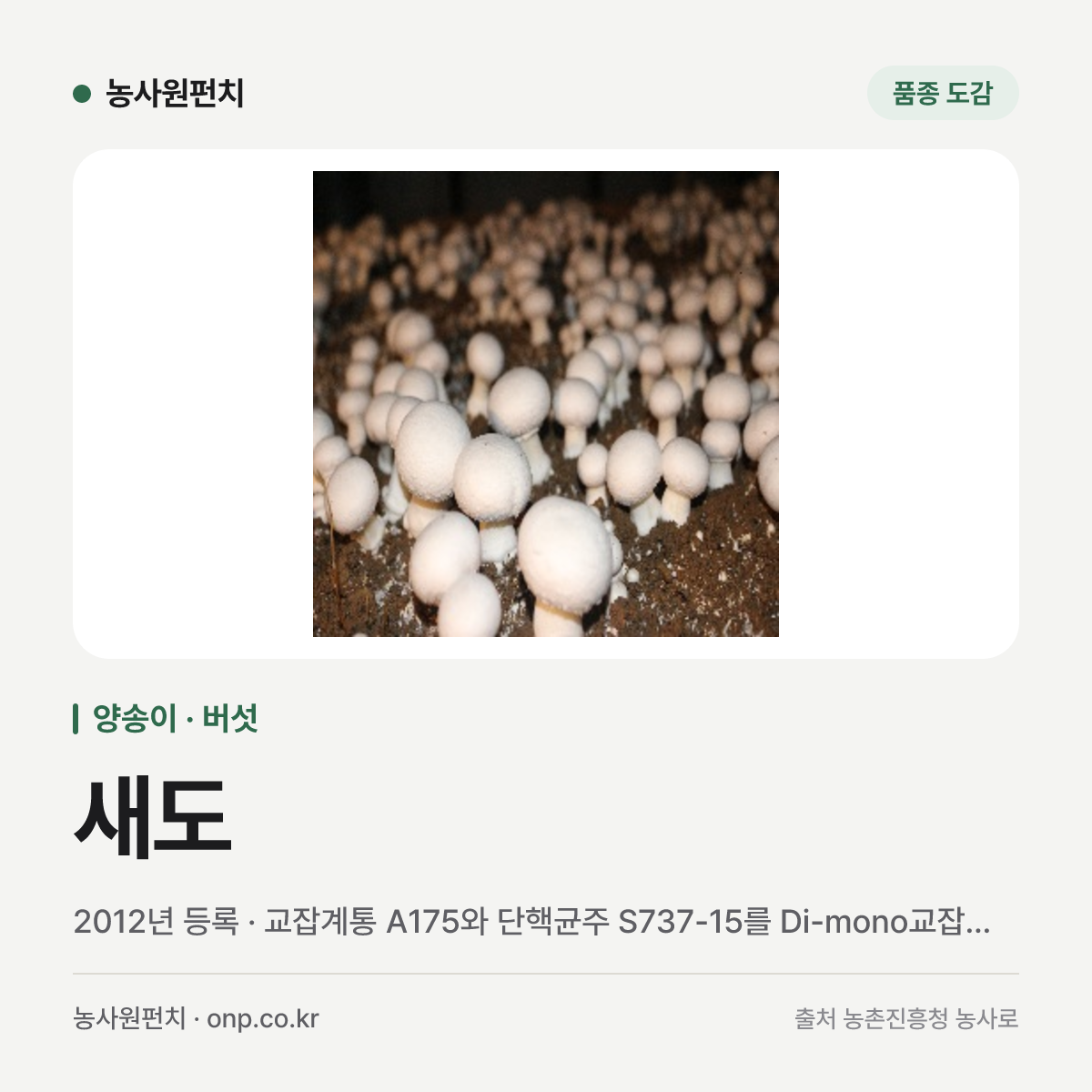 새도