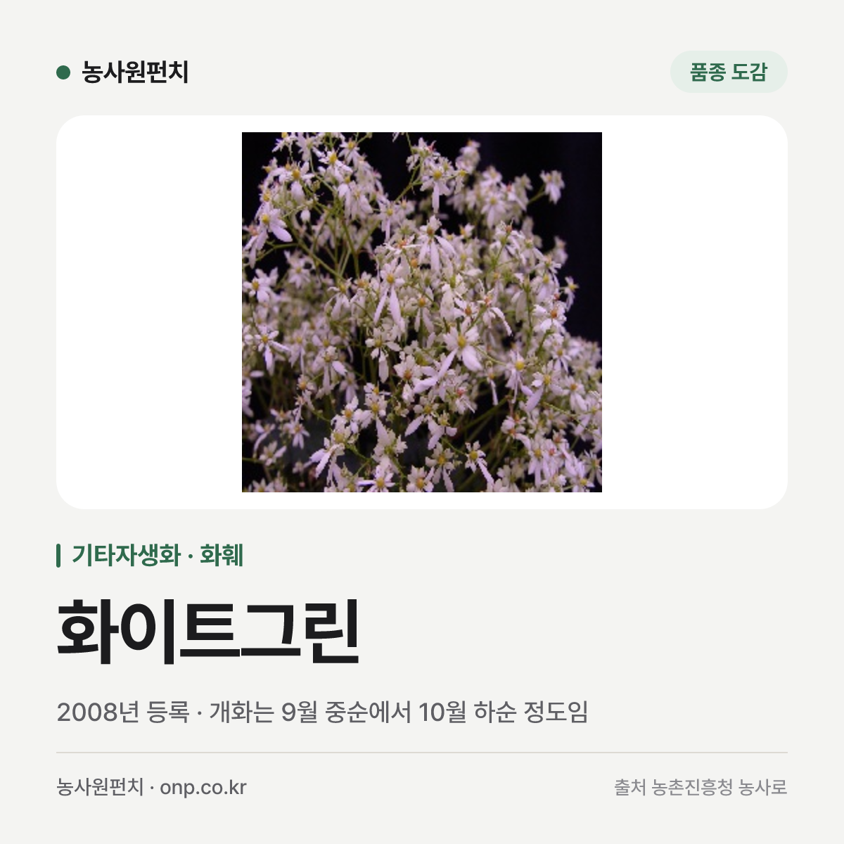 화이트그린