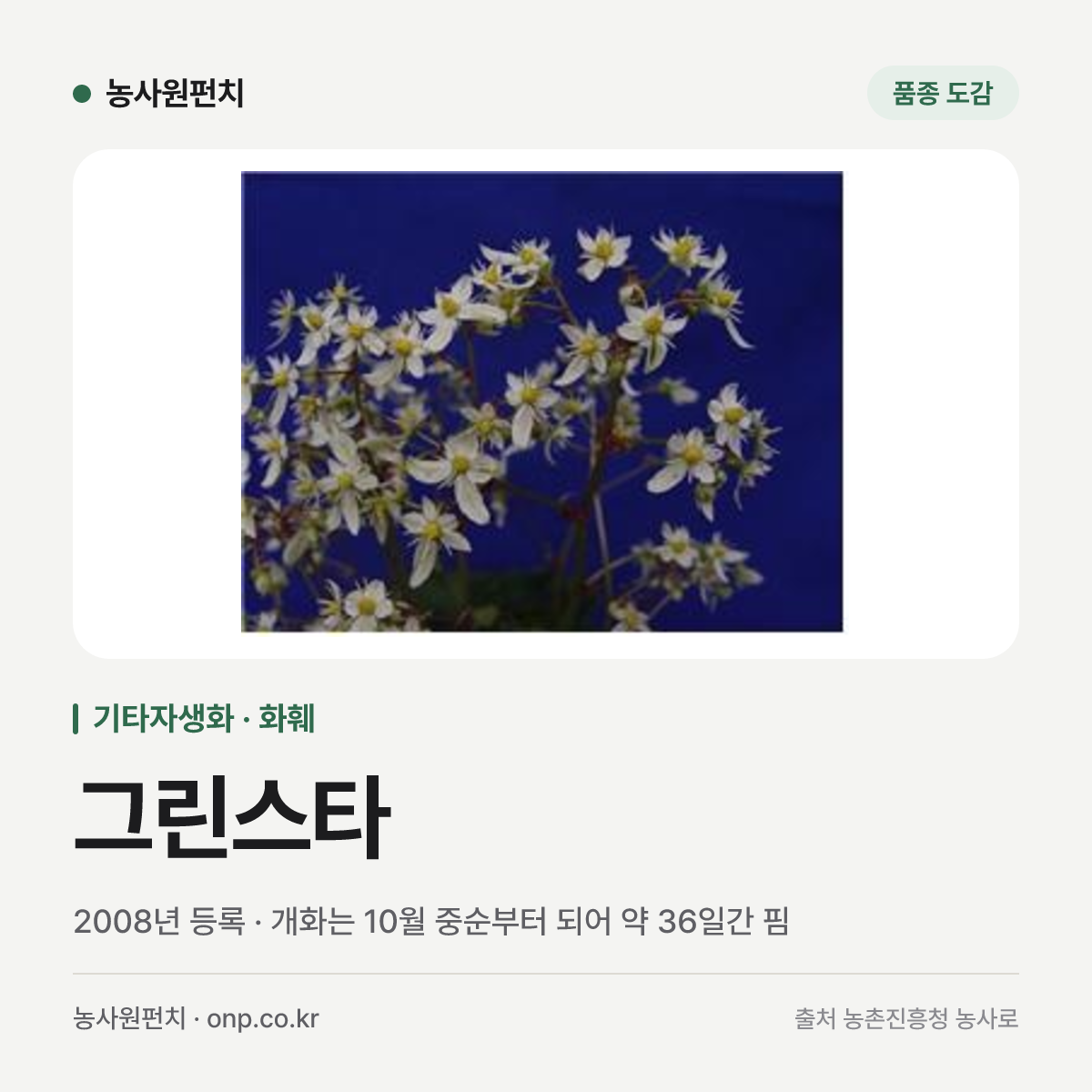 그린스타