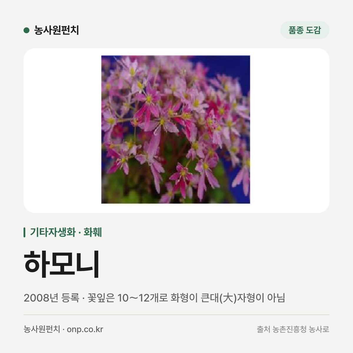 하모니